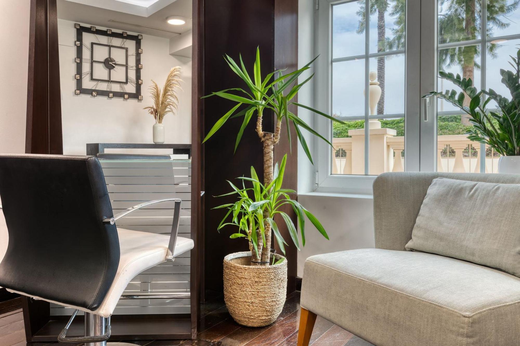 منتجع ذا لايك فيلامورا المظهر الخارجي الصورة Yucca gloriosa